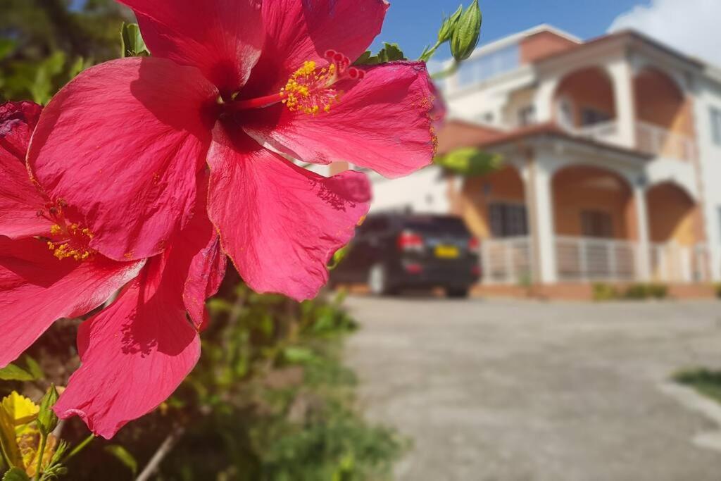 St. George'S Holiday Studio Vacation Of A Lifetime Fontenoy Ngoại thất bức ảnh